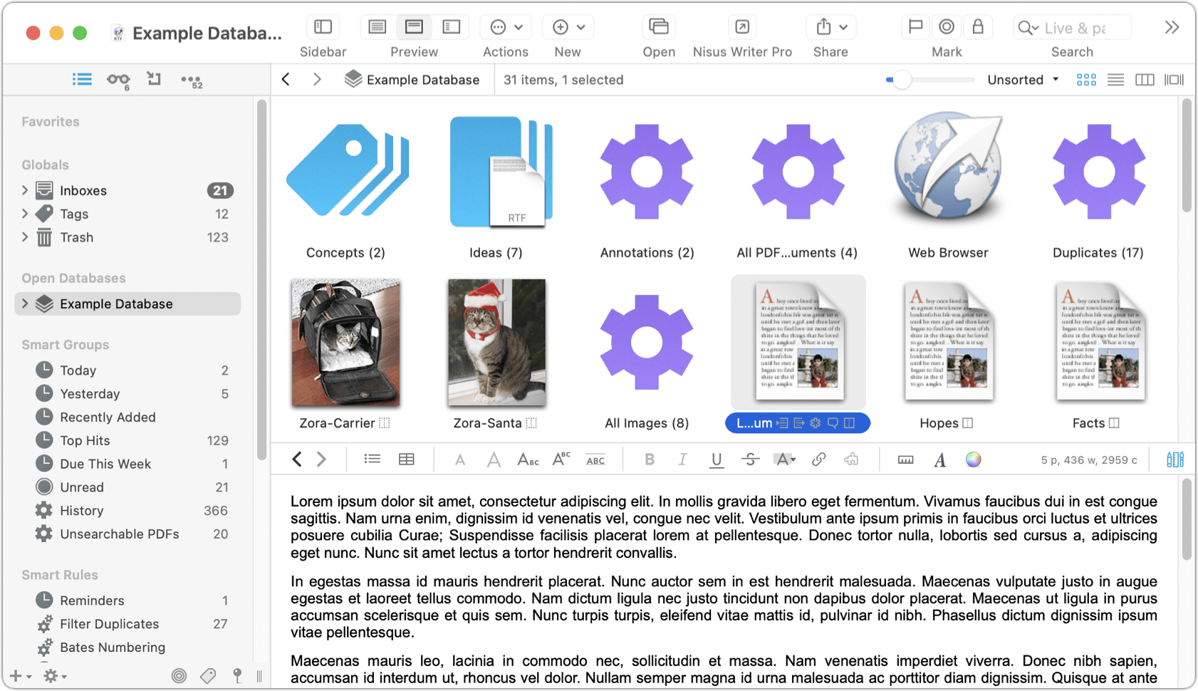 Figure 13: Icon view shows resizable thumbnails of each item.