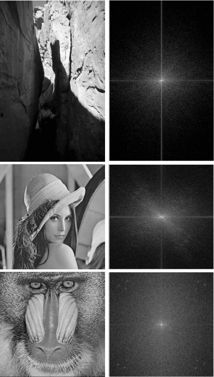 Photos depict (left column) original images. (Right column) Centered amplitude spectrums of the images in the left column, visualized using a logarithmic scale.