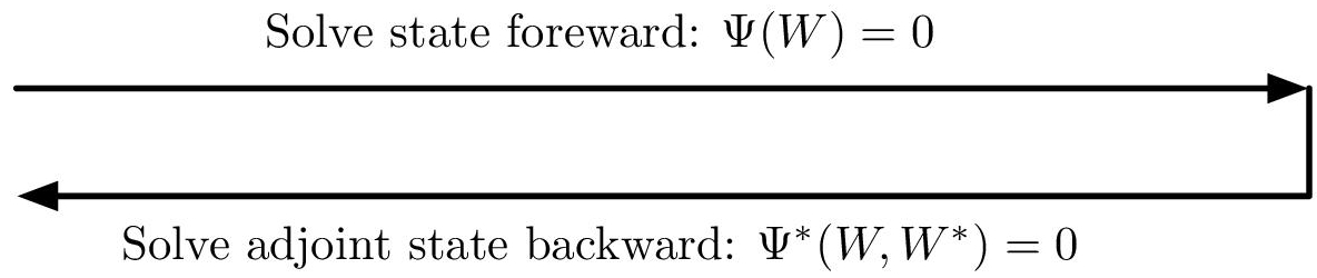 Schematic illustration of memory issue for computing an unsteay adjoint.