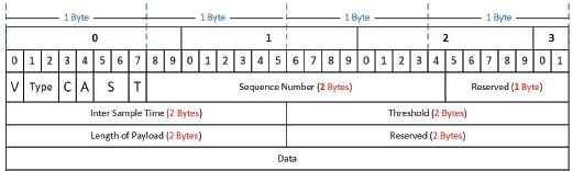 Schematic illustration of the frame of HoIP protocol.