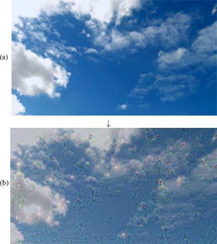 Schematic illustration of the deep dreams process applied to the original image.