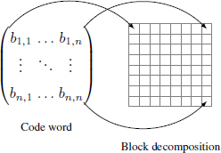 Schematic illustration of the insertion strategy using rank metric code and image block decomposition.
