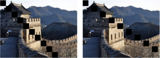 Photographs of the examples of attacked images with the poorest detection performance.