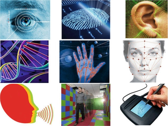Schematic illustration of the examples of biometric modalities used to verify or determine the identity of an individual.
