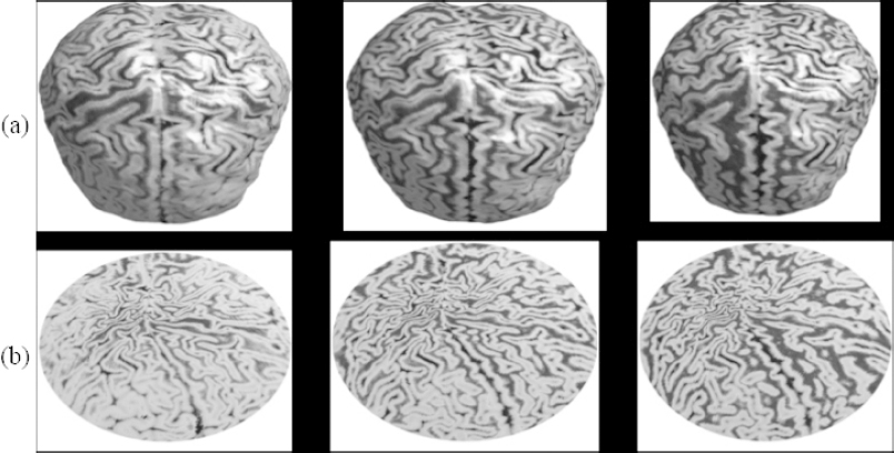 Schematic illustration of hidden brain biometrics.