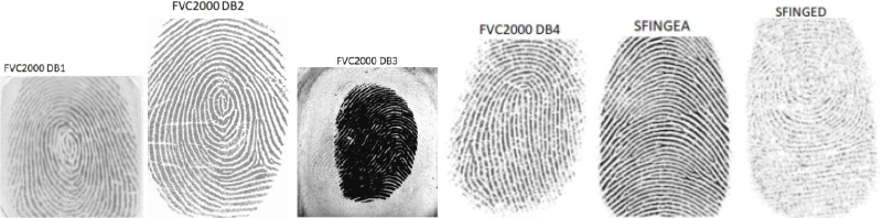 Schematic illustration of examples of fingerprints from the different image databases.
