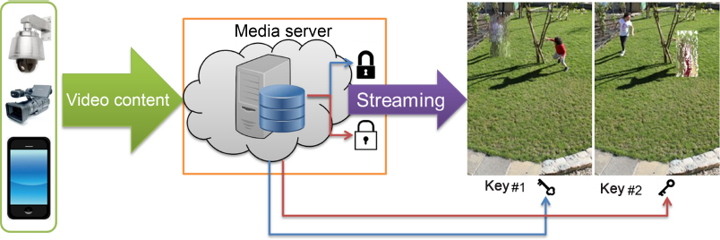 Schematic illustration of multi-access to protected multimedia streaming content.