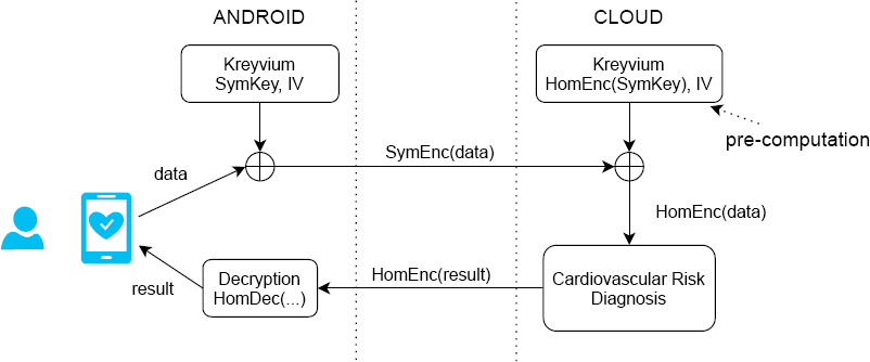 Schematic illustration of homomorphic computation process for the cardiovascular risk evaluation.