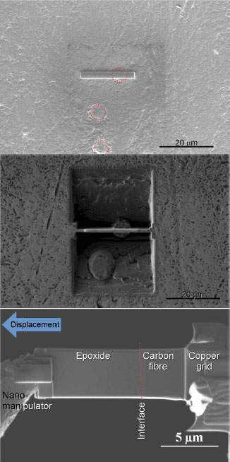 Schematic illustration of the different stages of the sample preparation.