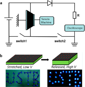 Schematic illustration of electric circuit used for mechanical energy harvesting.