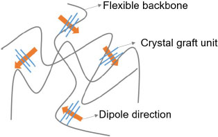 Schematic illustration of the electrostrictive graft elastomer.