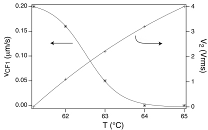 Graph depicts the drift velocity of the CF1s and coexistence voltage V2 as a function of temperature above the compensation temperature.