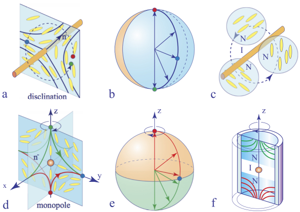 Schematic illustration of the topology of disclinations and monopoles. 