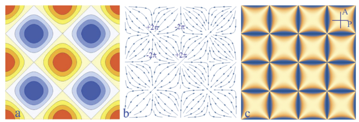 Schematic illustration of Gadanken experiment: stabilization of a dowsons network by tropisms of the dowser texture.