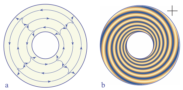 Schematic illustration of excited metastable state of the dowser field in an annular droplet. (a) The dowser field. (b) Isogyres pattern.