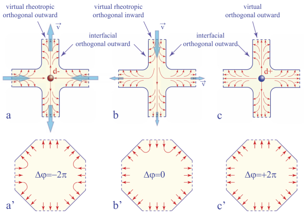 Schematic illustration of real, and virtual anchoring conditions of the dowser field along the boundary of the four-arm junctions.