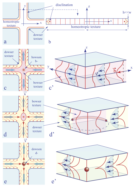 Schematic illustration of the flow-induced bowson-dowson transformation in the four-arm microfluidic junction.