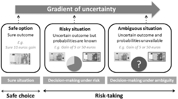 Schematic illustration of continuum of decision-making situations by level of uncertainty.