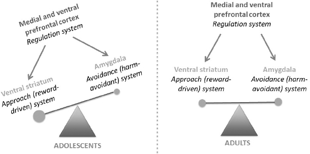 Schematic illustration of the triadic model of motivated behavior by Ernst et al.