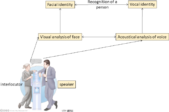 Schematic illustration of the interlocutor’s recognition.