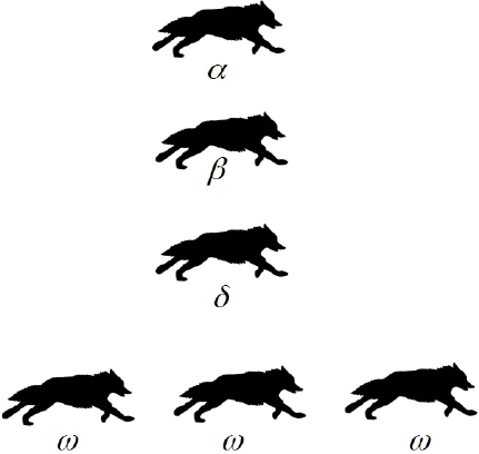 Schematic illustration of the wolf pack hierarchy.