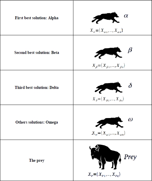 Schematic illustration of the pack hierarchy modeling.