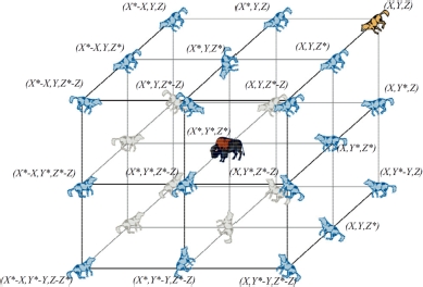 Schematic illustration of the position of the wolf agent and its prey in a cube with n equals 3.