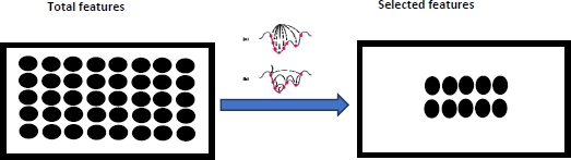 Schematic illustration of the feature selection process.