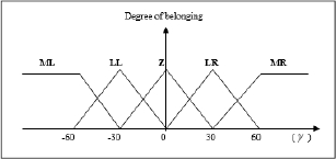 Schematic illustration of the representation of fuzzy subsets of the gyamma.