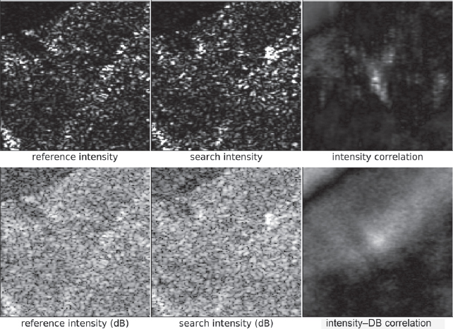 Schematic illustration of linearly scaled radar intensity of reference and search area.