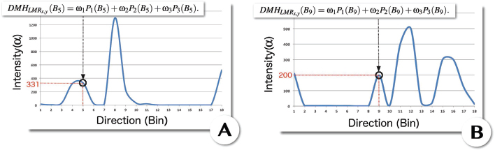 Graphs depict the calculation of direction and magnitude histograms. (A) macro- and (B) micro-expression.