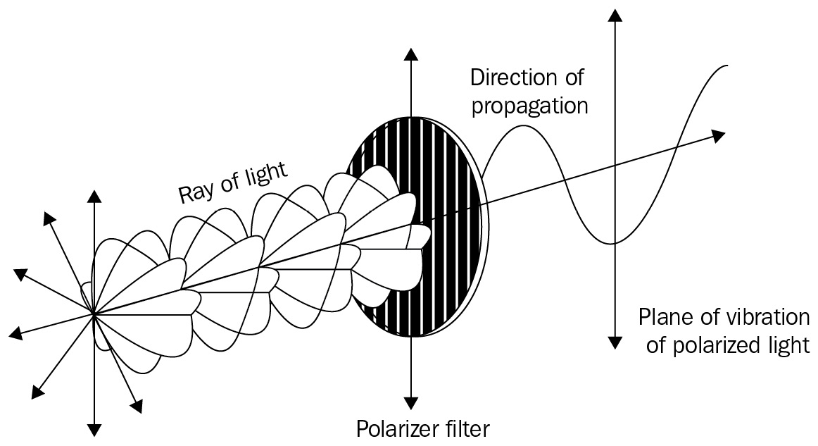 Figure 8.7 — Photon polarization