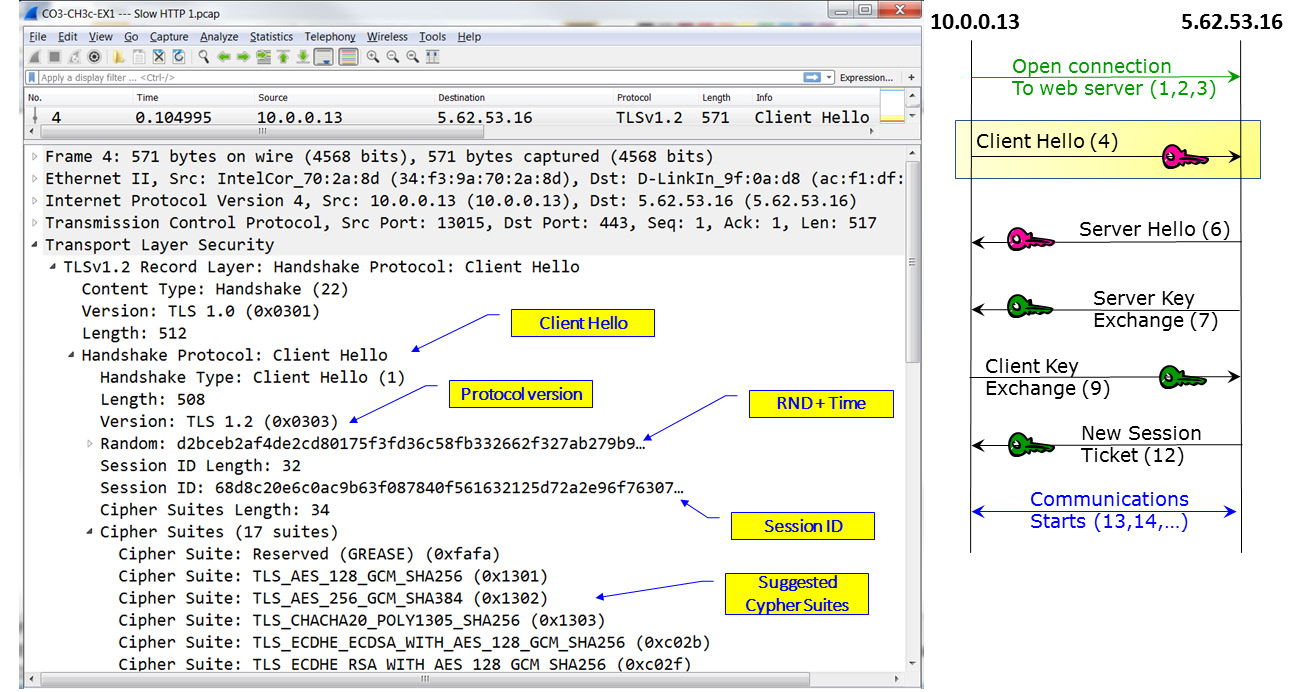 Figure 3.18 – TLS negotiation – Client Hello 
