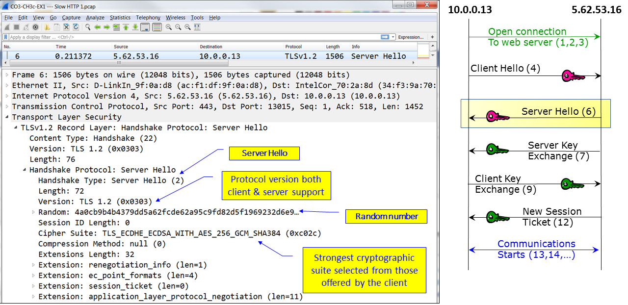 Figure 3.19 – TLS negotiation – Server Hello
