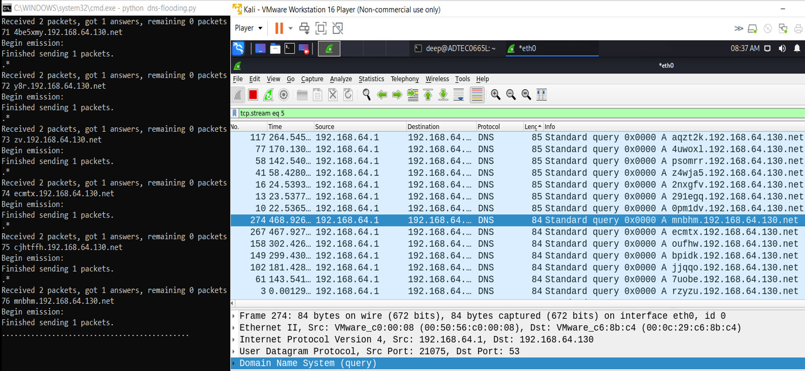 Figure 13.14 – An NX record attack demonstration
