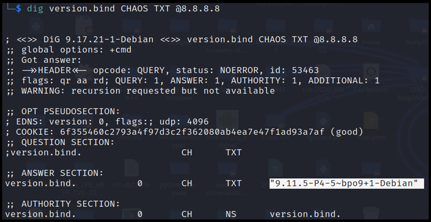 Figure 13.6 – The DNS nameserver and subdomain records
