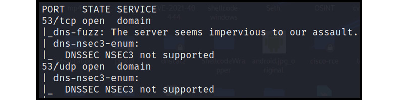 Figure 13.8 – DNSSEC NSEC3 not supported
