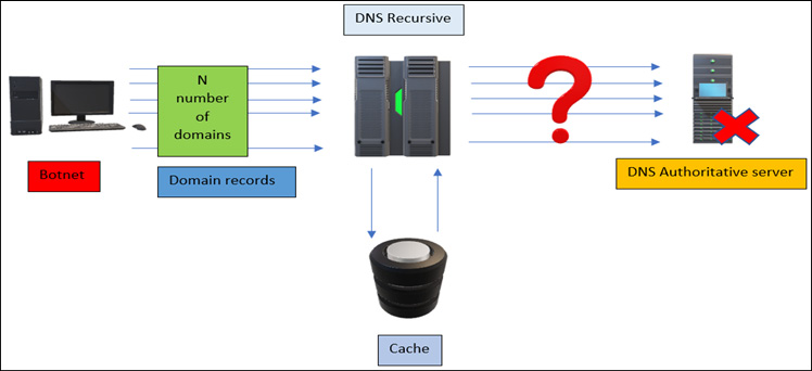 Figure 13.15 – A DNS flooding attack
