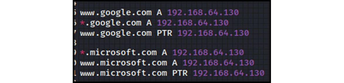 Figure 13.19 – A fake DNS entry in the etter.dns file
