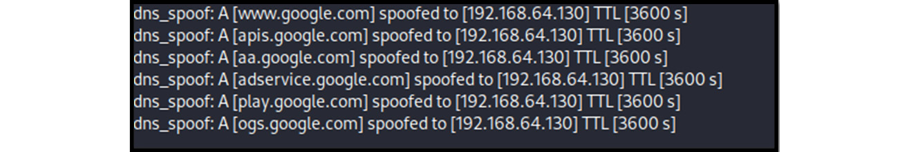 Figure 13.21 – DNS spoofing activated
