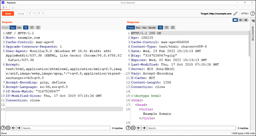 Figure 14.3 – The intercepted HTTP request-response
