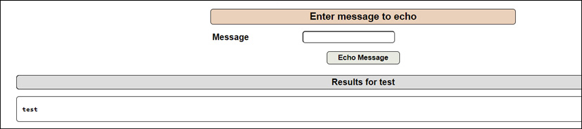 Figure 14.18 – The reverse shell executed
