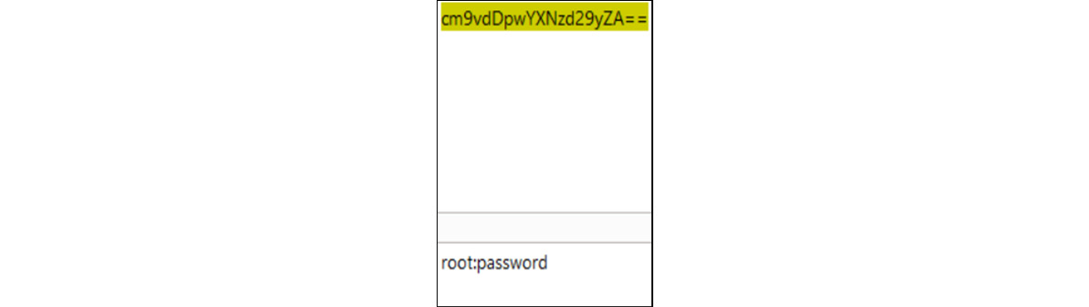 Figure 16.20 – Base64 password decoded

