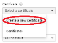 Figure 10.28 – Create a new certificate
