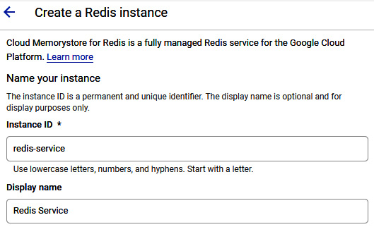 Figure 11.5 – Instance ID and Display name
