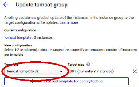 Figure 11.11 – ROLLING UPDATE – Template
