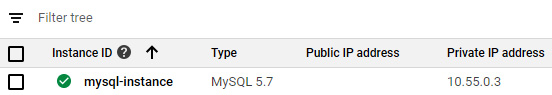 Figure 11.21 – Newly created SQL instance
