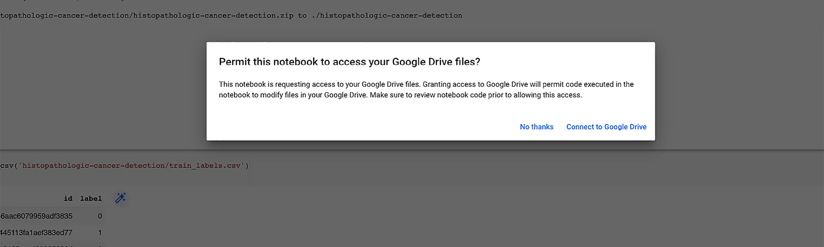 Figure 2.12 – Allowing access to Google Drive
