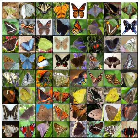 Figure 6.10 – The original butterfly images
